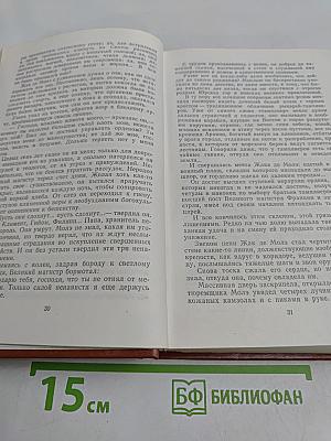 Железный король. Узница Шато-Гайара