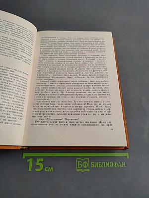 Повесть о настоящем человеке. Спутники