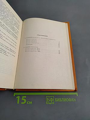 Повесть о настоящем человеке. Спутники
