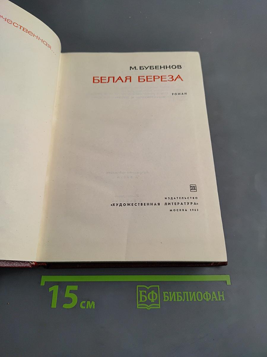 Белая береза