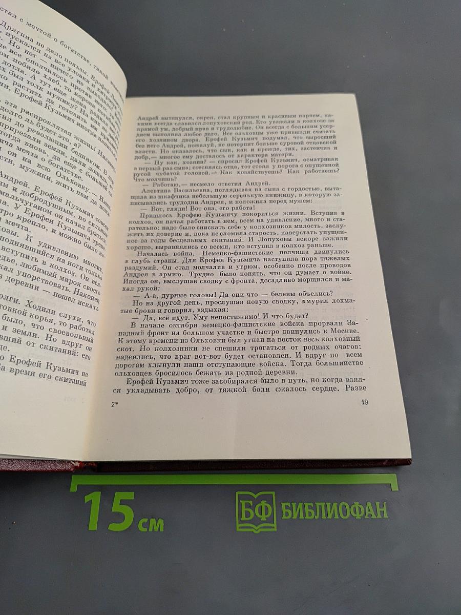 Белая береза