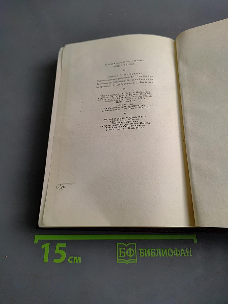 Белая береза