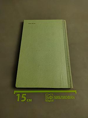 Праздники и будни поэта Николая Некрасова
