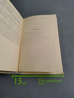 Игрок. Вечный муж