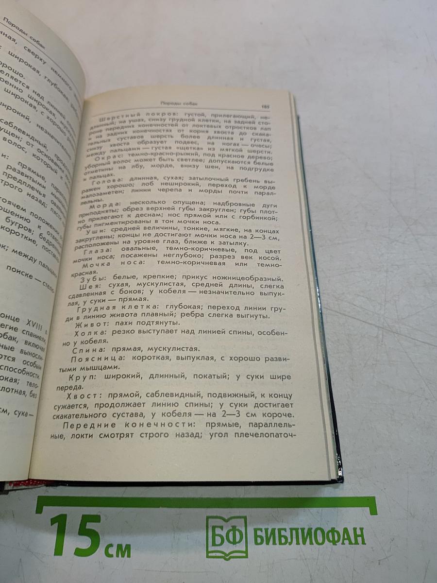 Ваши домашние четвероногие друзья