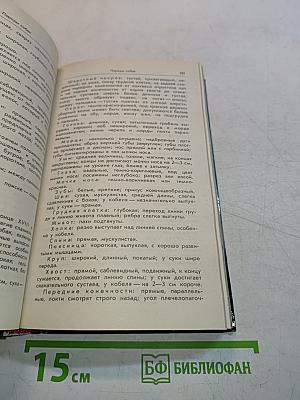 Ваши домашние четвероногие друзья