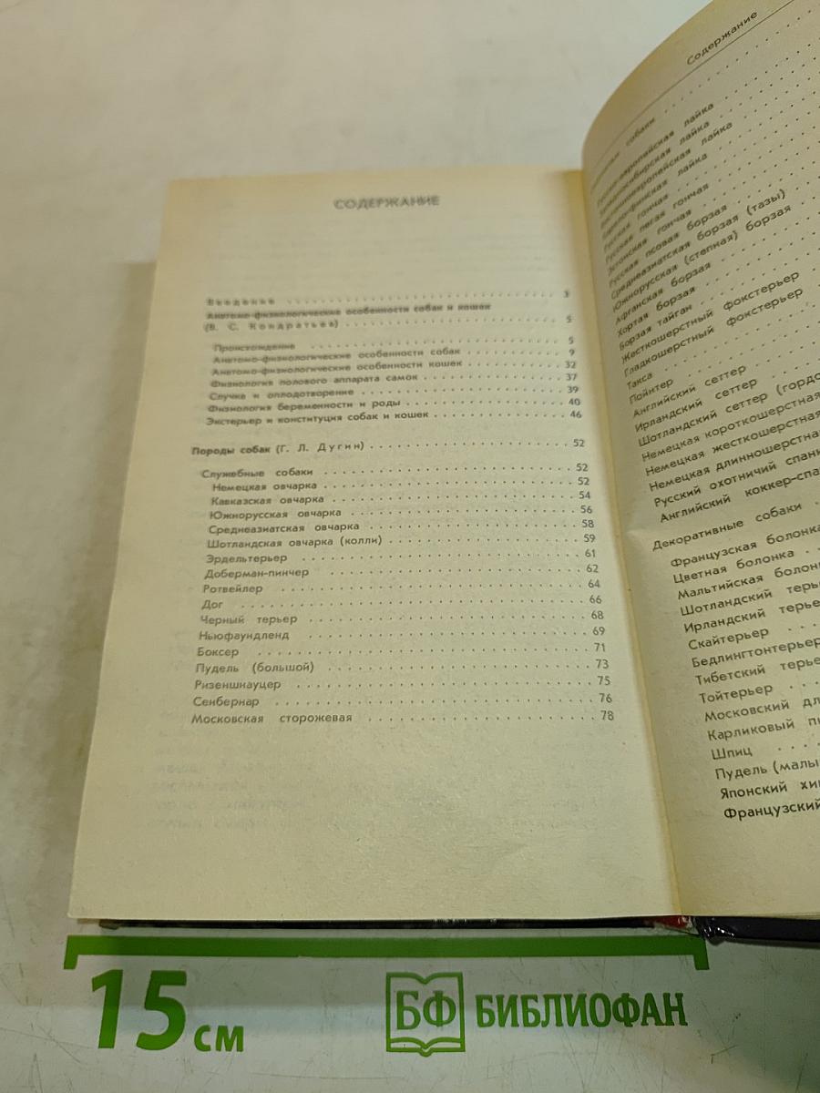 Ваши домашние четвероногие друзья