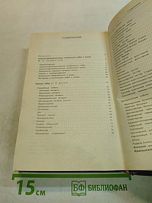 Ваши домашние четвероногие друзья