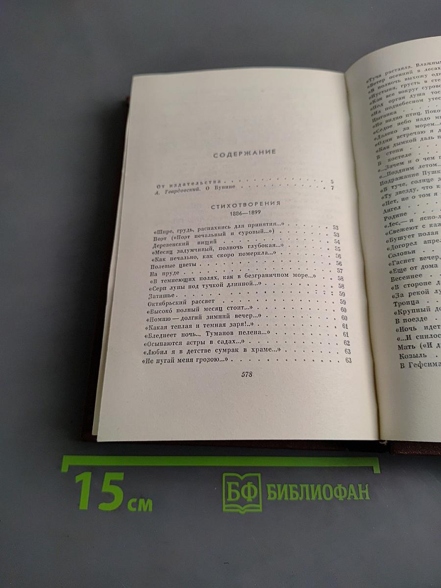 Стихотворения 1886-1917. Собрание сочинений. Том первый