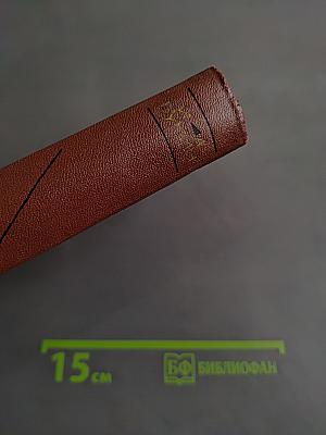 Стихотворения 1886-1917. Собрание сочинений. Том первый