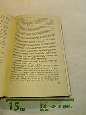 Котовский. Книга первая. Человек-легенда