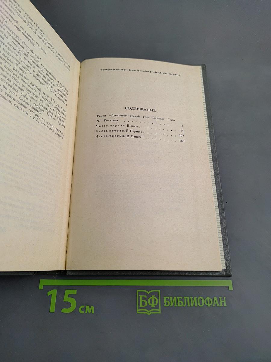 Девяносто третий год