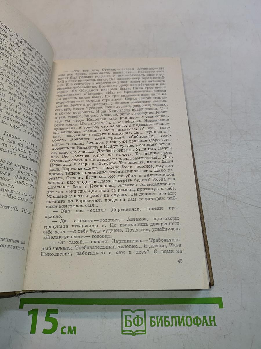 Запонь