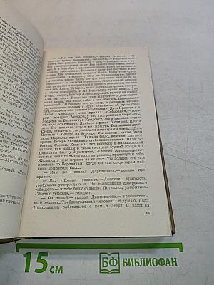 Запонь