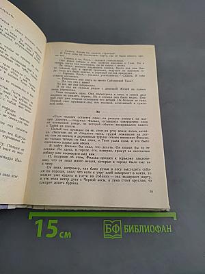 Дикая собака динго, или Повесть о первой любви. Дальнее плавание