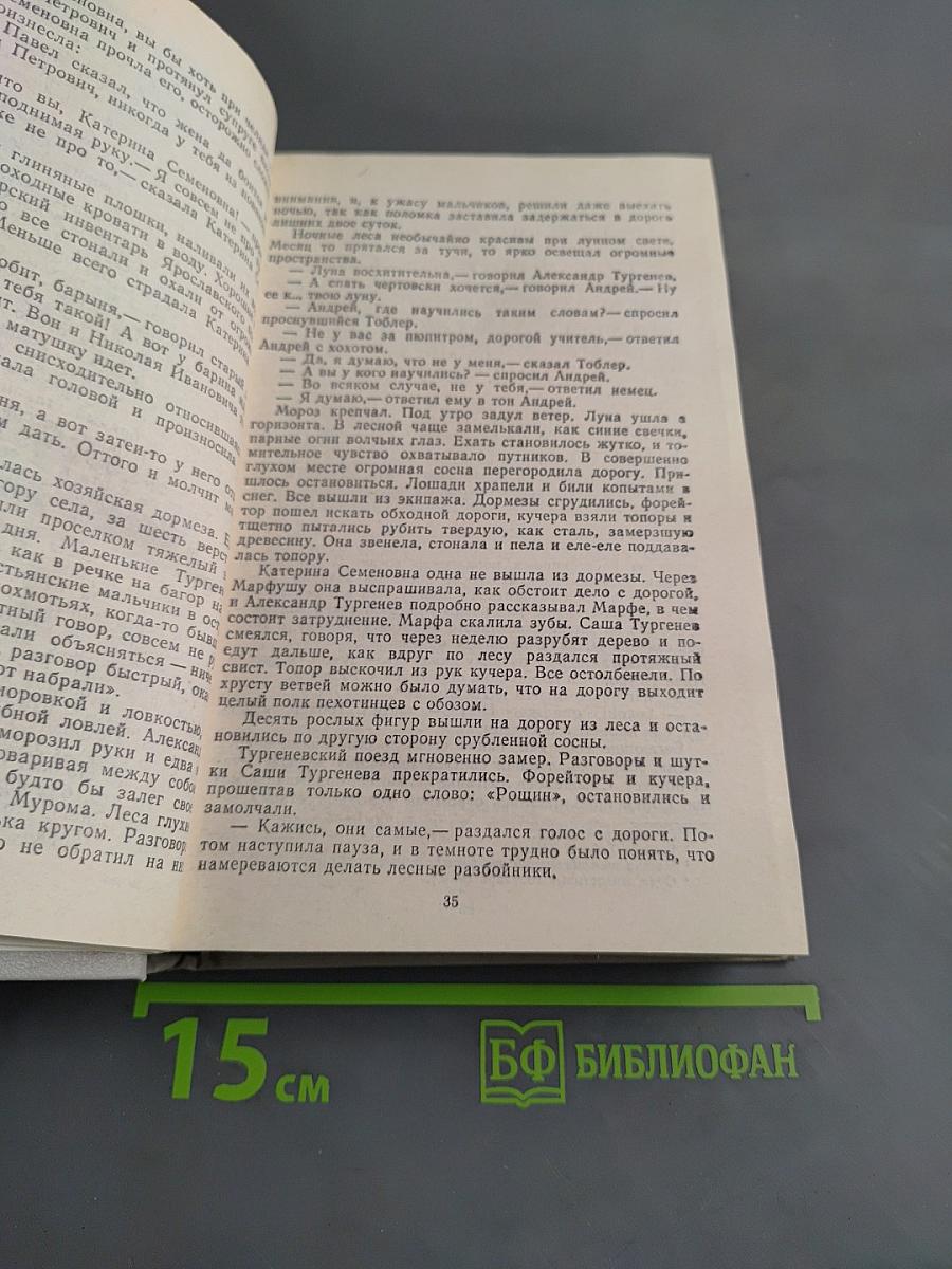 Повесть о братьях Тургеневых. Осуждение Паганини