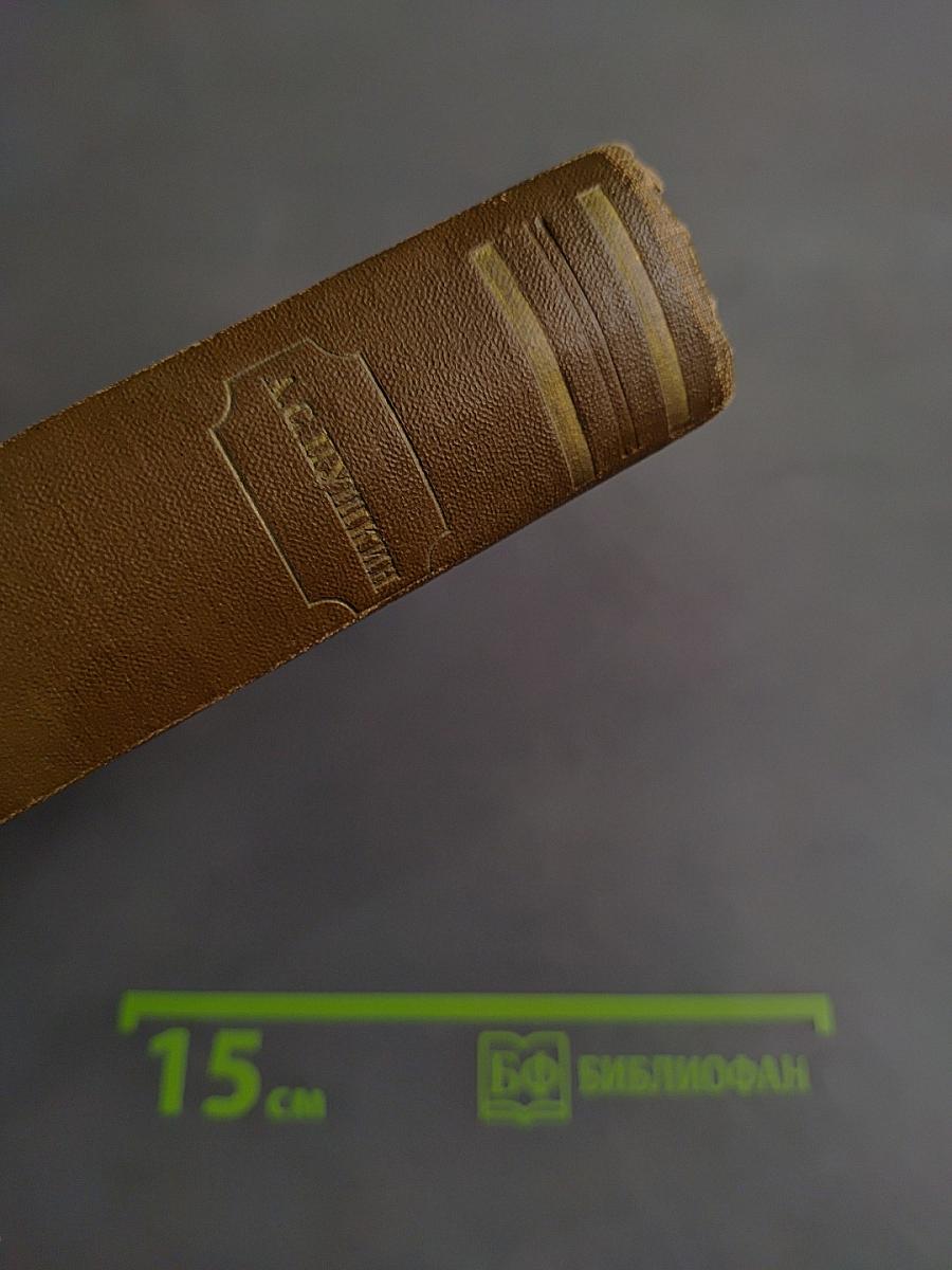 Стихотворения 1813-1825. Том первый