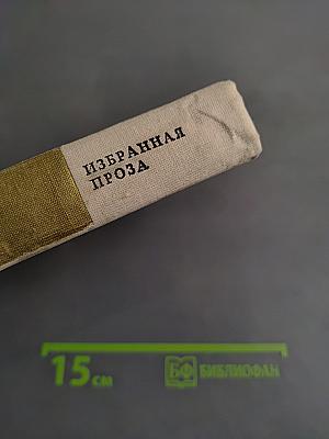 Избранная проза