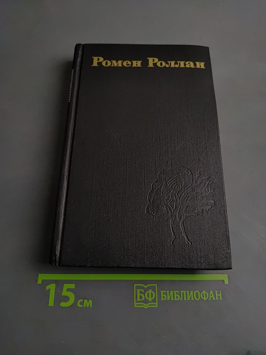 Очарованная душа. Том VI