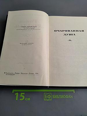 Очарованная душа. Том VI