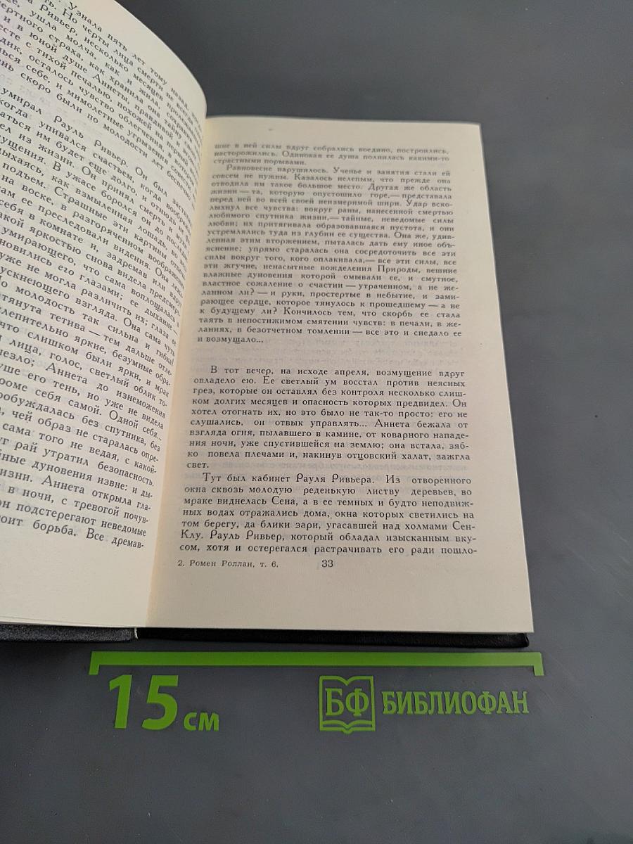 Очарованная душа. Том VI