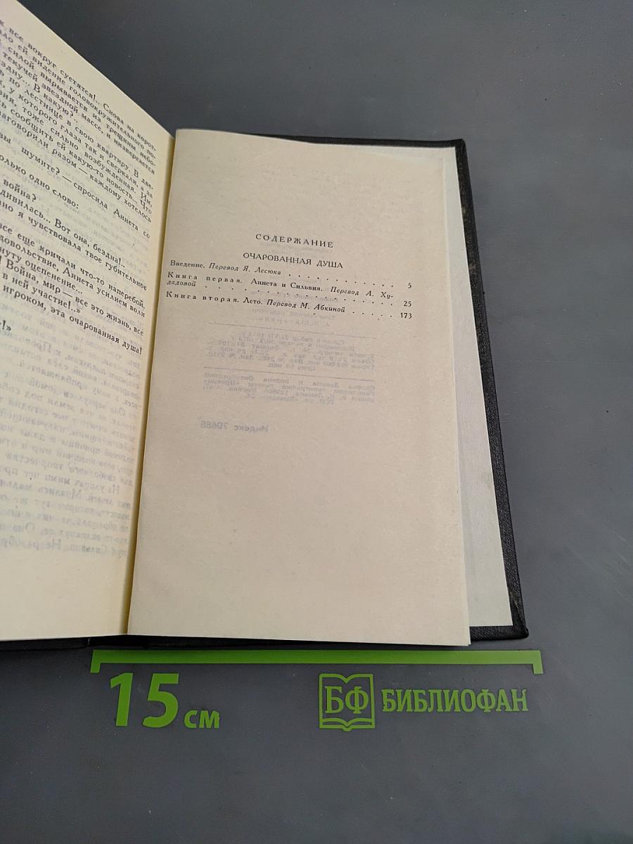 Очарованная душа. Том VI