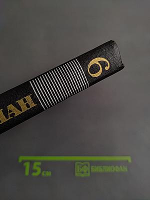 Очарованная душа. Том VI