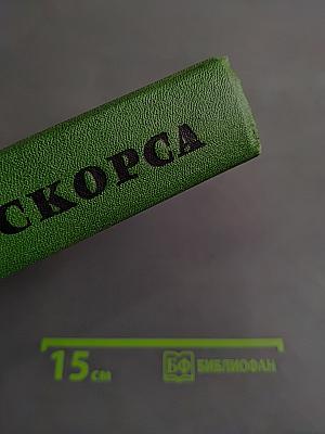 Мануэль Скорса. Траурный марш по селенью Ранкас. Гарабомбо-Невидимая. Бессонный всадник. Сказание об Агапито Роблесе