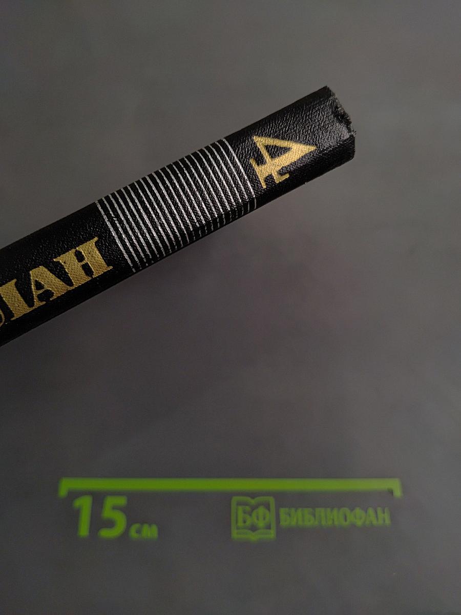 Жан-Кристоф. Том IV