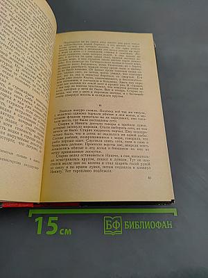 Рассказы. Железный поток