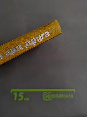 Жили два друга