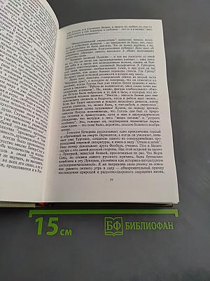Художник и общество. Статьи и письма