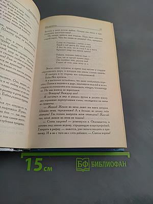 Маг-целитель