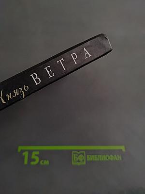 Князь Ветра. Приключения сыщика Ивана Дмитриевича Кутмилина