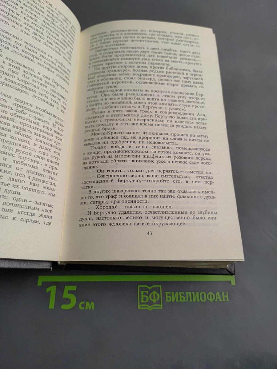 Граф Монте-Кристо. Том второй