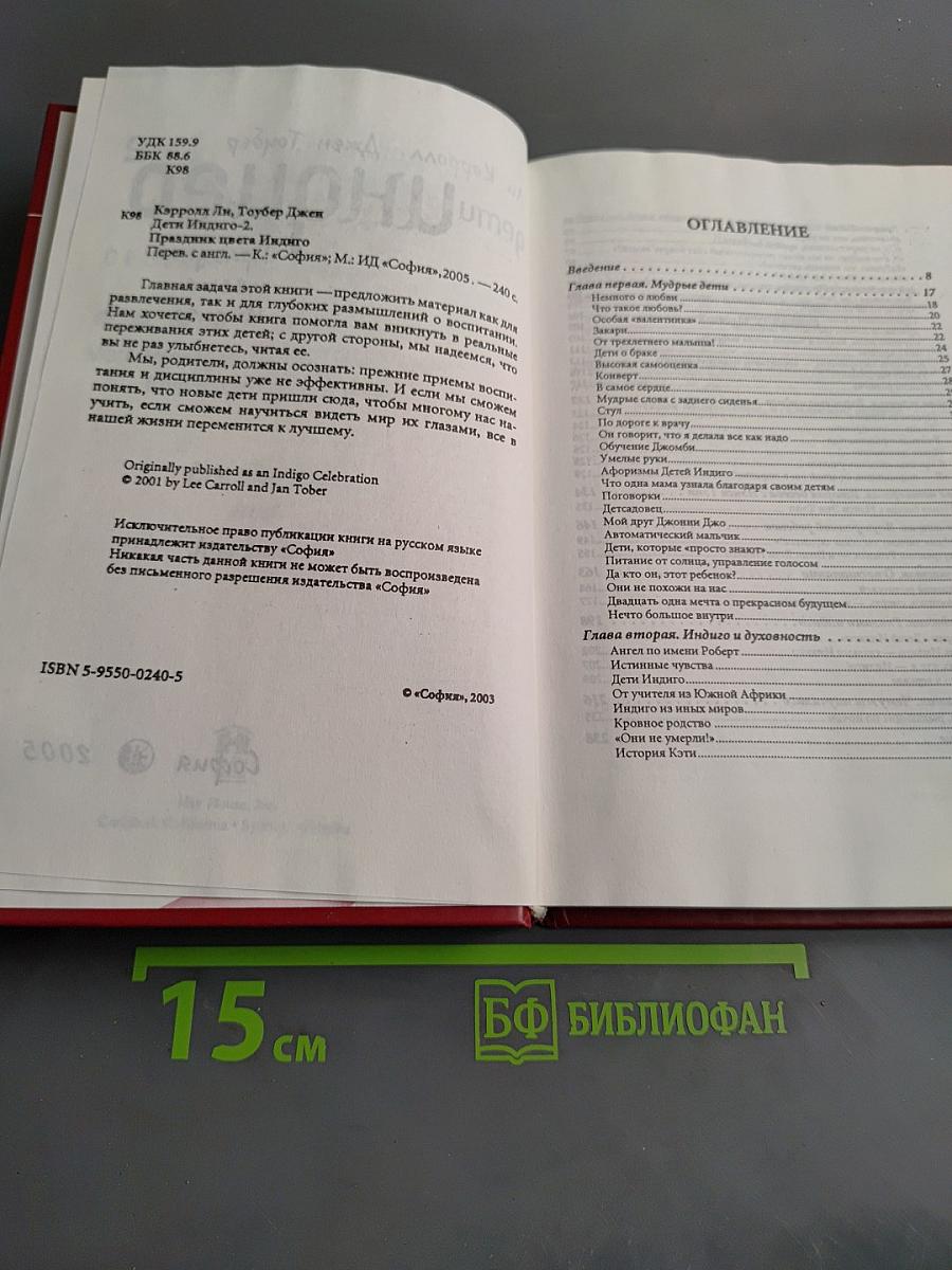 Дети Индиго. Праздник цвета Индиго. Часть 2