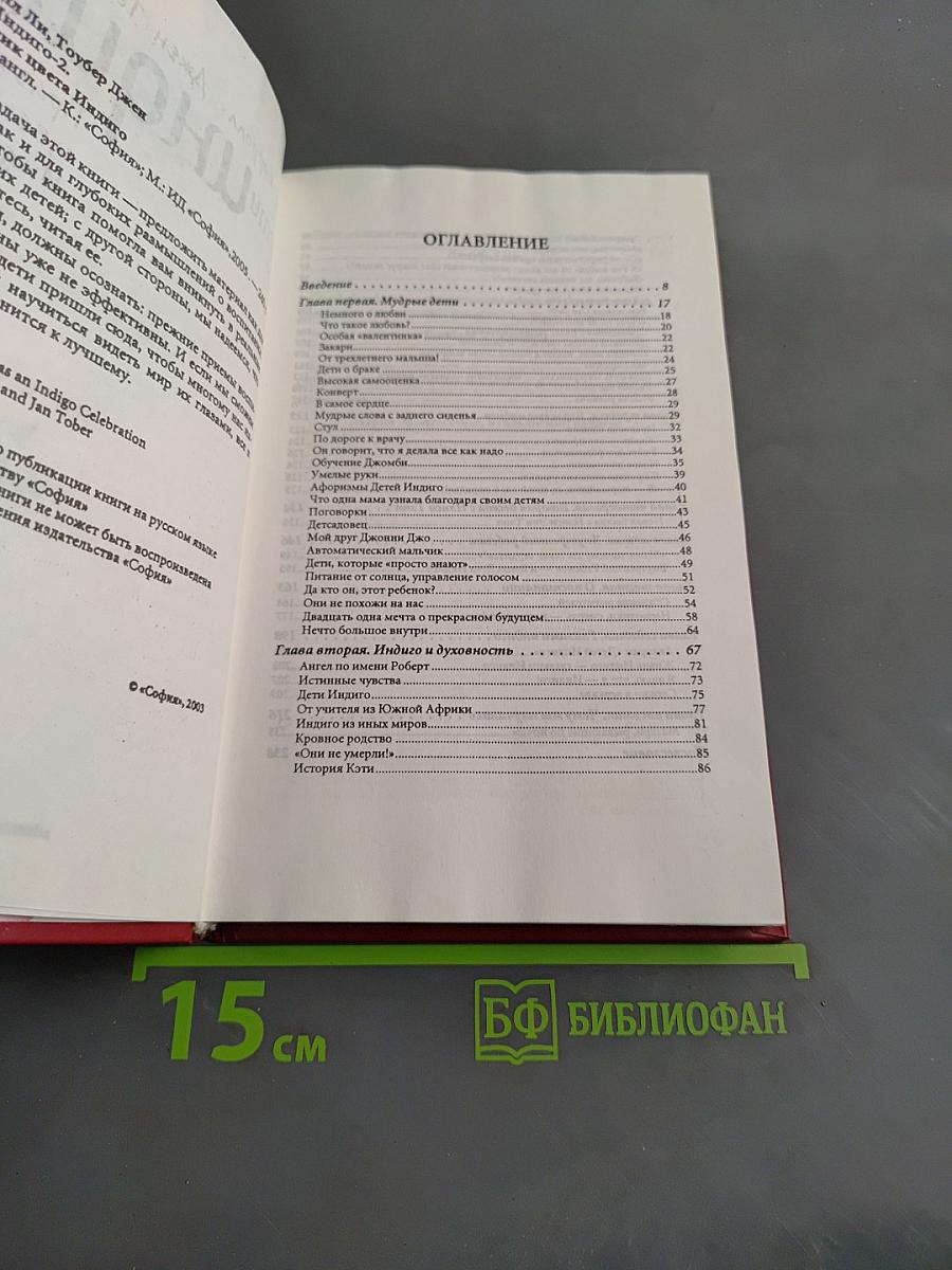 Дети Индиго. Праздник цвета Индиго. Часть 2