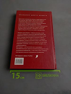 Дети Индиго. Праздник цвета Индиго. Часть 2