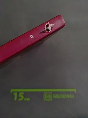 Дети Индиго. Праздник цвета Индиго. Часть 2