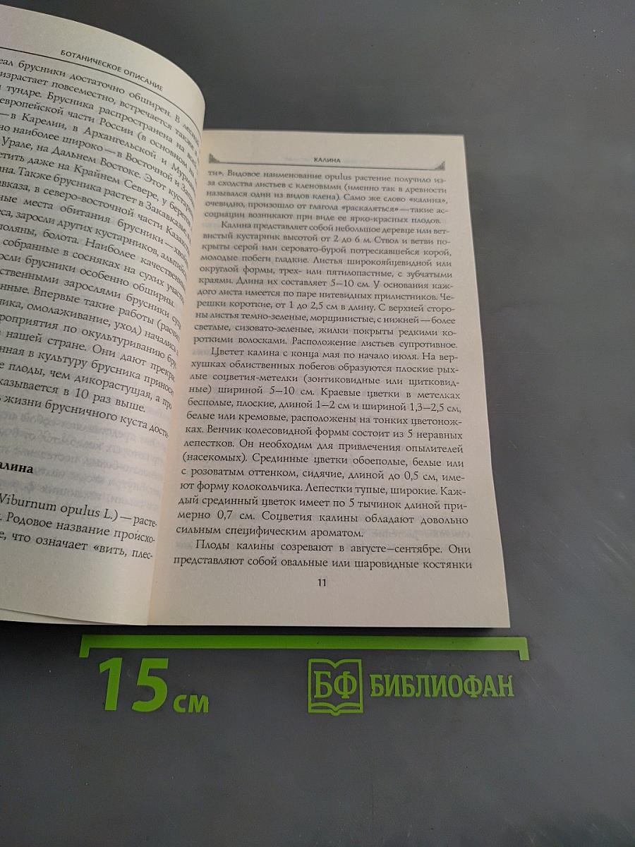 Калина, брусника, клюква от всех болезней
