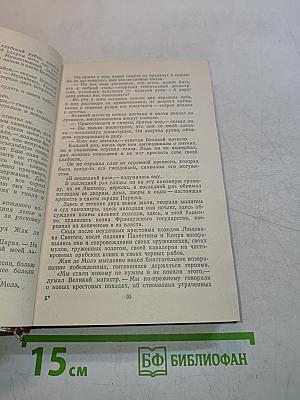 Железный король. Узница Шато-Тайафа