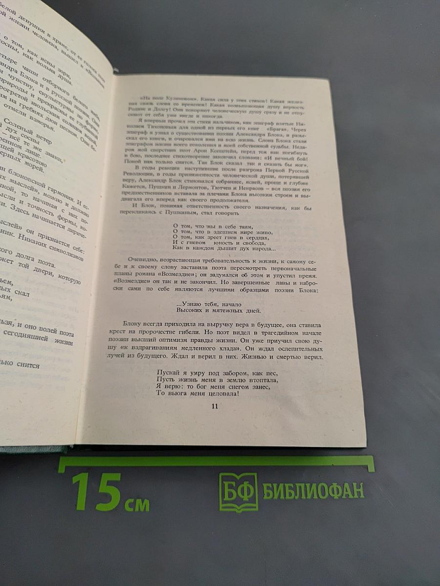 Стихотворения и поэмы. Том 1