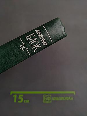 Стихотворения и поэмы. Том 1