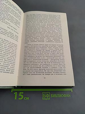 Сад Поммера