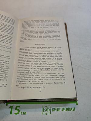 Альпийская фиалка