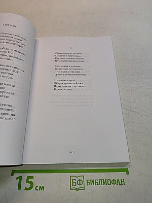 По обе стороны дороги. Книга вторая. На склоне вод
