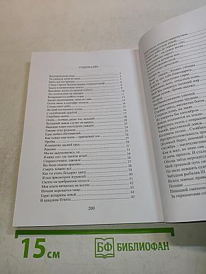 По обе стороны дороги. Книга вторая. На склоне вод