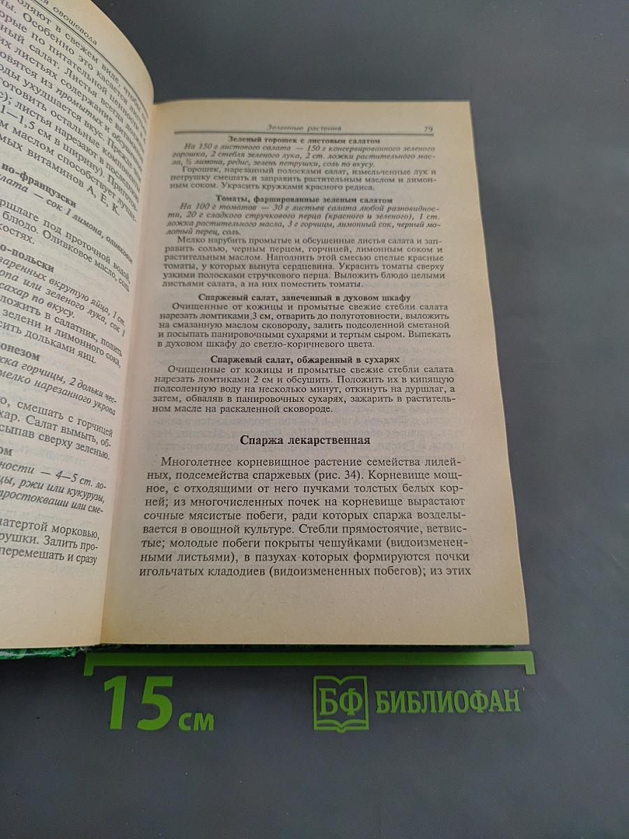Современная энциклопедия овощевода