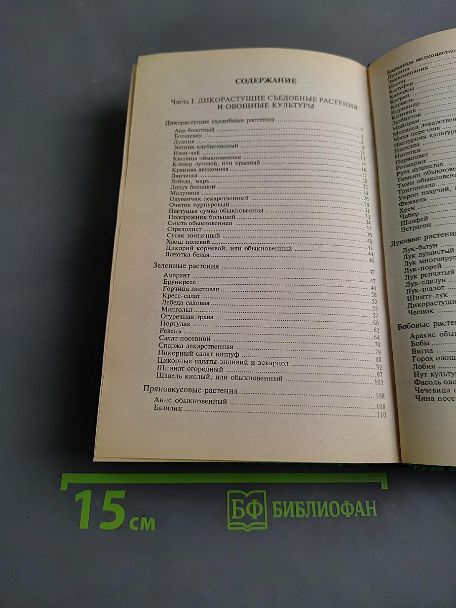 Современная энциклопедия овощевода