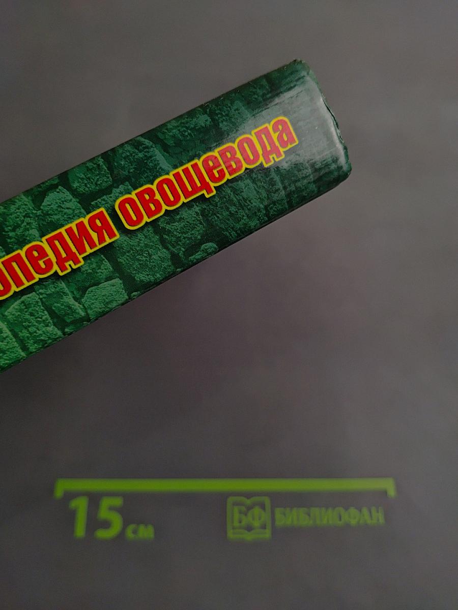 Современная энциклопедия овощевода